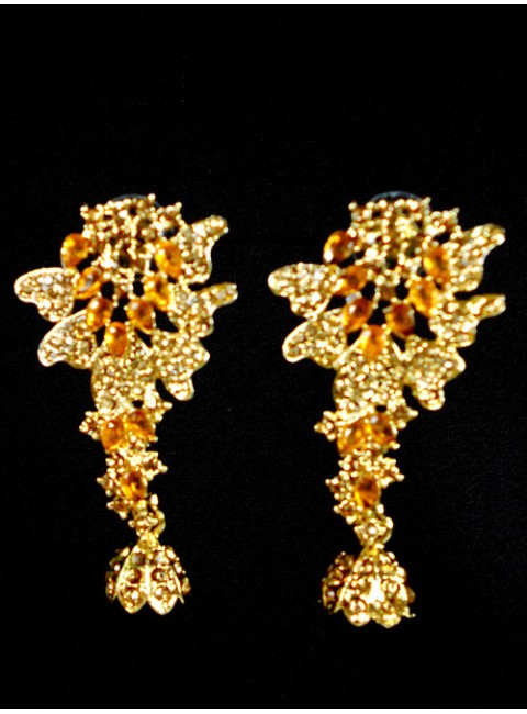 Fashion Earrings